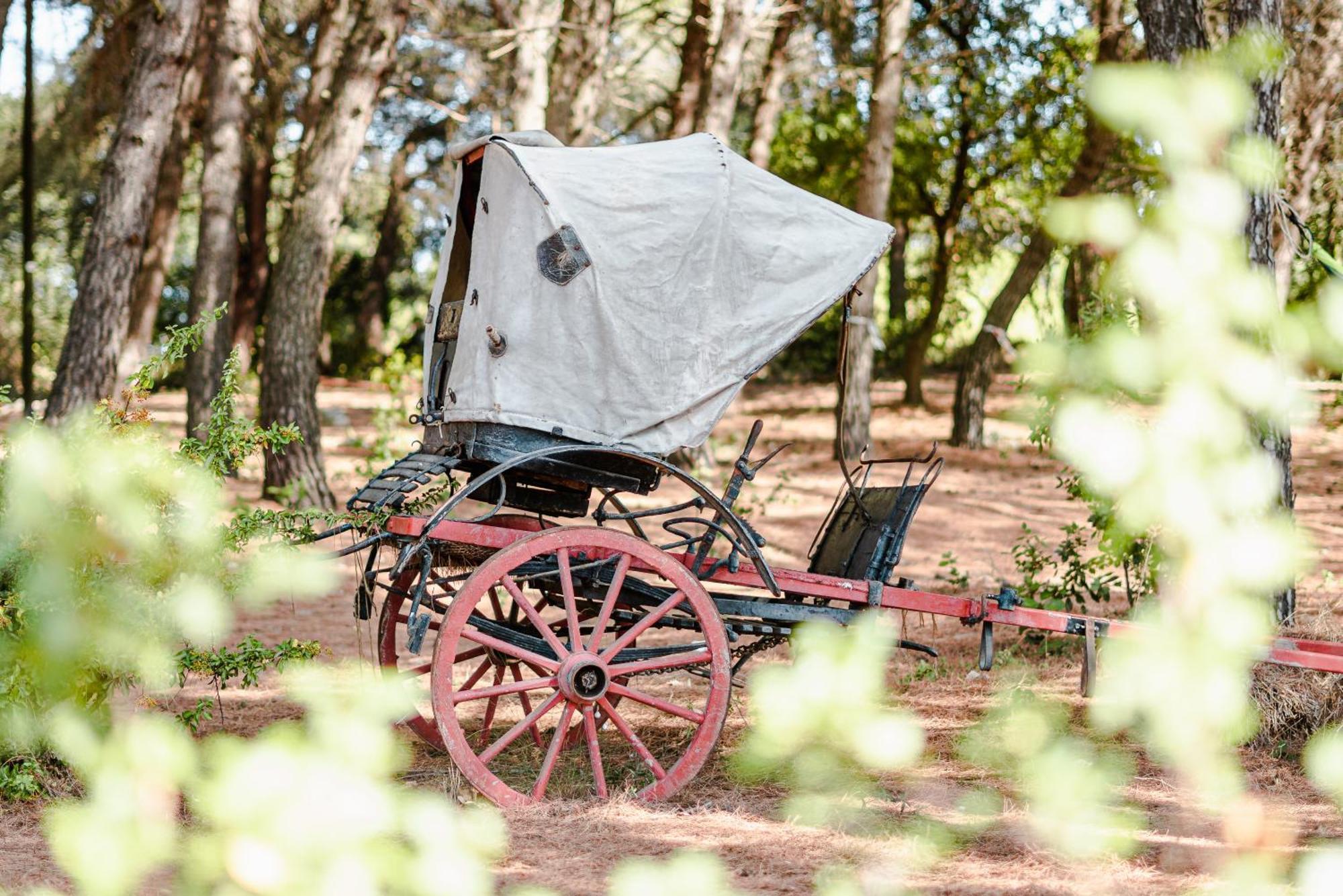 Ad Un Passo Da Cisternino - Trulli Con Foresta, Bici E Barbecue Exterior foto